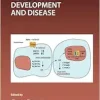 Retinoids in Development and Disease (Volume 161) (Current Topics in Developmental Biology, Volume 161) (Original PDF from Publisher)
