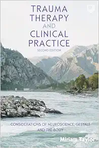 Trauma Therapy and Clinical Practice, 2nd Edition (EPUB)