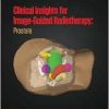 Clinical Insights for Image-Guided Radiotherapy (Series in Medical Physics and Biomedical Engineering) (EPUB)