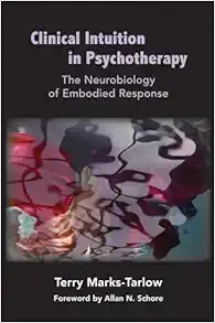 Clinical Intuition in Psychotherapy: The Neurobiology of Embodied Response (Norton Series on Interpersonal Neurobiology) (EPUB)