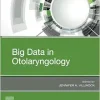Big Data in Otolaryngology (Original PDF from Publisher)