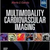 Multimodality Cardiovascular Imaging (EPUB + Converted PDF)