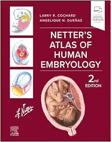 Netter’s Atlas of Human Embryology, 2nd Edition (True PDF From Publisher)