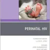 Perinatal HIV, An Issue of Clinics in Perinatology (The Clinics: Orthopedics, Volume 51-4) (True PDF from Publisher)