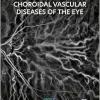 Retinal and Choroidal Vascular Diseases of the Eye (Original PDF from Publisher)