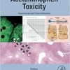 Acetaminophen Toxicity: Experimental and Clinical Advances (Original PDF from Publisher)