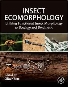 Insect Ecomorphology: Linking Functional Insect Morphology to Ecology and Evolution (Original PDF from Publisher)
