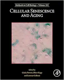 Cellular Senescence and Aging (Volume 181) (Methods in Cell Biology, Volume 181) (EPUB)