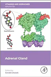 Adrenal Gland (Volume 124) (Vitamins and Hormones, Volume 124) (EPUB)