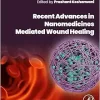 Recent Advances in Nanomedicines Mediated Wound Healing (Original PDF from Publisher)