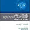 Obstetric and Gynecologic Hospitalists and Laborists, An Issue of Obstetrics and Gynecology Clinics (Volume 51-3) (The Clinics: Internal Medicine) (True PDF from Publisher)