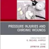 Pressure Injuries & Chronic Wounds, An Issue of Clinics in Geriatric Medicine (The Clinics: Internal Medicine, Volume 40-3) (True PDF from Publisher)