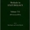 TRNA-derived RNAs (Volume 711) (Methods in Enzymology, Volume 711) (EPUB)