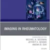 Imaging in Rheumatology, An Issue of Rheumatic Disease Clinics of North America (The Clinics: Internal Medicine, Volume 50-4) (True PDF from Publisher)