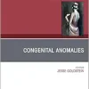 Congenital Anomalies, An Issue of Clinics in Plastic Surgery (Volume 52-2) (The Clinics: Surgery, Volume 52-2) (EPUB)