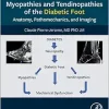 Myopathies and Tendinopathies of the Diabetic Foot: Anatomy, Pathomechanics, and Imaging (True PDF from Publisher)
