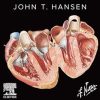 Netter’s Anatomy Flash Cards, 7th edition (EPUB)