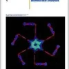 Human Molecular Biology: An Introduction to the Molecular Basis of Health and Disease (Original PDF from Publisher)