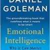 Emotional Intelligence: Why It Can Matter More Than IQ (EPUB)