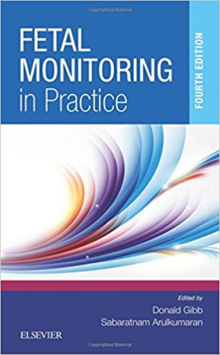 Fetal Monitoring in Practice, 4th Edition (EPUB)