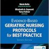 Evidence-Based Geriatric Nursing Protocols for Best Practice, 7th Edition (EPUB)