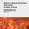 Miscellaneous Intestinal Protozoa: Global Status (Original PDF from Publisher)