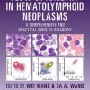 Flow Cytometry in Hematolymphoid Neoplasms: A Comprehensive and Practical Guide to Diagnosis (EPUB)