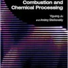 Plasma Assisted Combustion and Chemical Processing (Original PDF from Publisher)