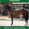 Concise Textbook of Equine Clinical Practice Book 1: Lameness (Original PDF from Publisher)