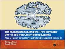 The Human Brain during the Third Trimester 310– to 350–mm Crown-Rump Lengths: Atlas of Central Nervous System Development, Volume 13 (Atlas of Central Nervous System Development, 13) (Original PDF from Publisher)