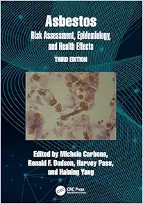 Asbestos, 3rd edition (EPUB)