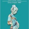 Pregnancy and Postpartum Considerations for the Veterinary Team (Original PDF from Publisher)
