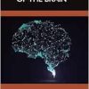 Bioinformatics of the Brain (EPUB)