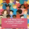 The Practice of Family Therapy: Key Elements Across Models, 6th Edition (Original PDF from Publisher)