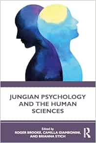 Jungian Psychology and the Human Sciences (EPUB)