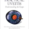 Practical Uveitis, 2nd edition (Original PDF from Publisher)