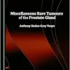 Miscellaneous Rare Tumours of the Prostate Gland (Original PDF from Publisher)