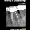 Pitt Ford’s Problem-Based Learning in Endodontology, 2nd edition (EPUB)