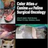 Color Atlas of Canine and Feline Surgical Oncology (Original PDF from Publisher)