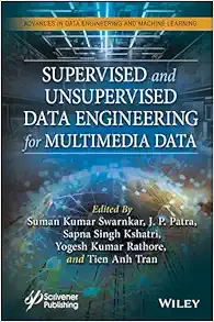 Supervised and Unsupervised Data Engineering for Multimedia Data (EPUB)