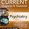 CURRENT Diagnosis & Treatment: Psychiatry, 4th Edition (Original PDF from Publisher)