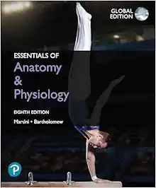 Essentials of Anatomy & Physiology, Global Edition, 8th Edition (Original PDF from Publisher)