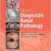 Silva’s Diagnostic Renal Pathology, 2nd Edition (Converted EPUB)
