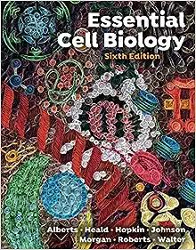Essential Cell Biology, 6th edition (ePub+Converted PDF)