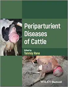 Periparturient Diseases of Cattle (EPUB)