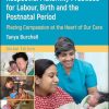 Respectful Maternity Practices for Labour, Birth and the Postnatal Period: Placing Compassion at the Heart of Our Care (Original PDF from Publisher)