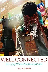 Well Connected: Everyday Water Practices in Cairo (Water and Society) (EPUB)