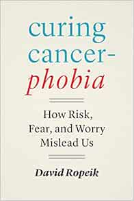 Curing Cancerphobia: How Risk, Fear, and Worry Mislead Us (EPUB)