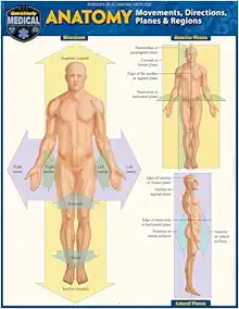 Anatomy – Directions, Planes, Movements & Regions: a QuickStudy Laminated Reference Guide (Original PDF from Publisher)