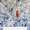 Incommunicable: Toward Communicative Justice in Health and Medicine (Original PDF from Publisher)